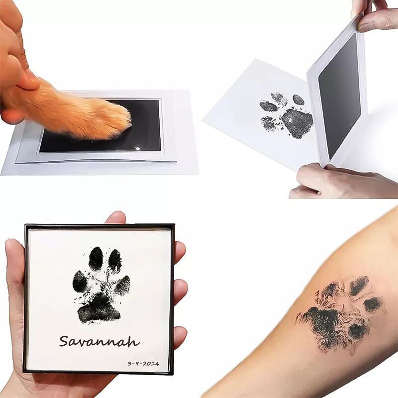 Empreintes de pattes de chat e - Baby Products Eco Friendly avis et prix